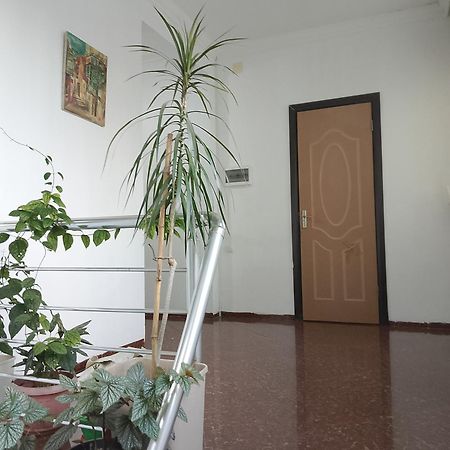 Jesis Batumi Hostel Exterior photo