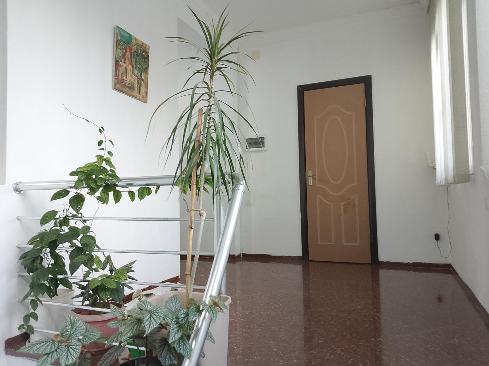 Jesis Batumi Hostel Exterior photo